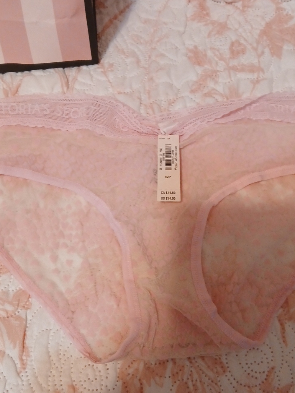 Victoria's Secret Pale Pink Lace Hipster Panty